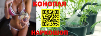 дживик Жуковский
